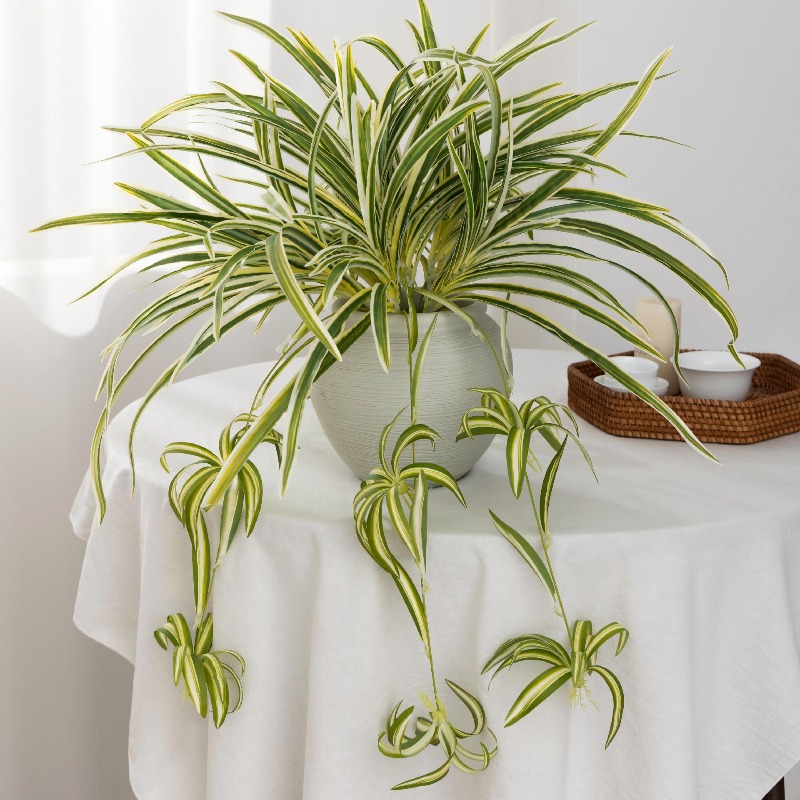 Artificial Spider Plant Chloro - Spider Plant Hanging recensie en prijs