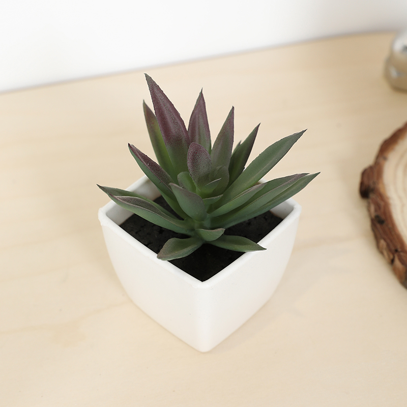 Mini Artificial Succulent Fair - Echeveria Succulent recensie en prijs