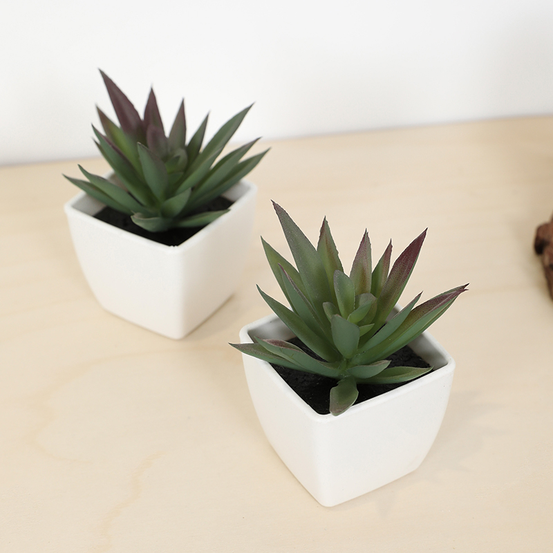 Mini Artificial Succulent Fair - Echeveria Succulent recensie en prijs