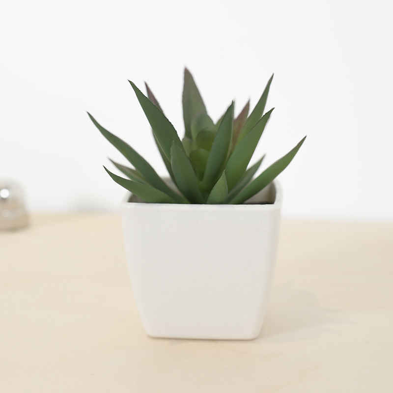 Mini Artificial Succulent Fair - Echeveria Succulent recensie en prijs