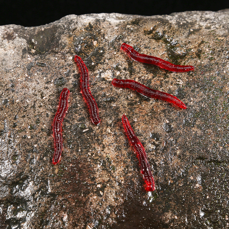 CIBO 50pcs-Artificial Red Worm - Aglaonema Red recensie en prijs