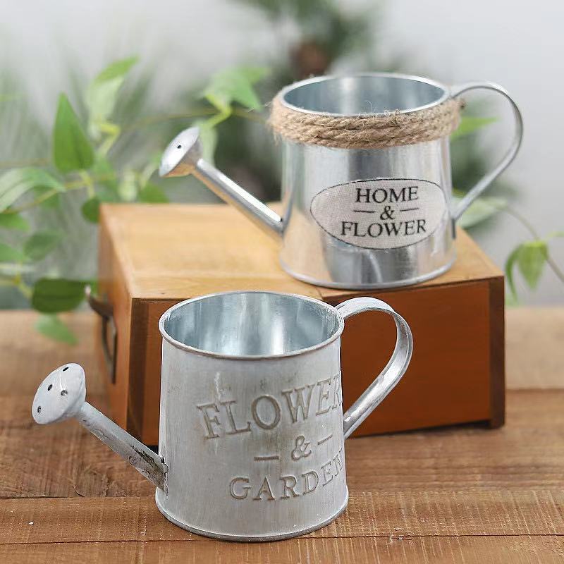 Barrels Garden Decoration Tin  - Pilea Peperomioides recensie en prijs