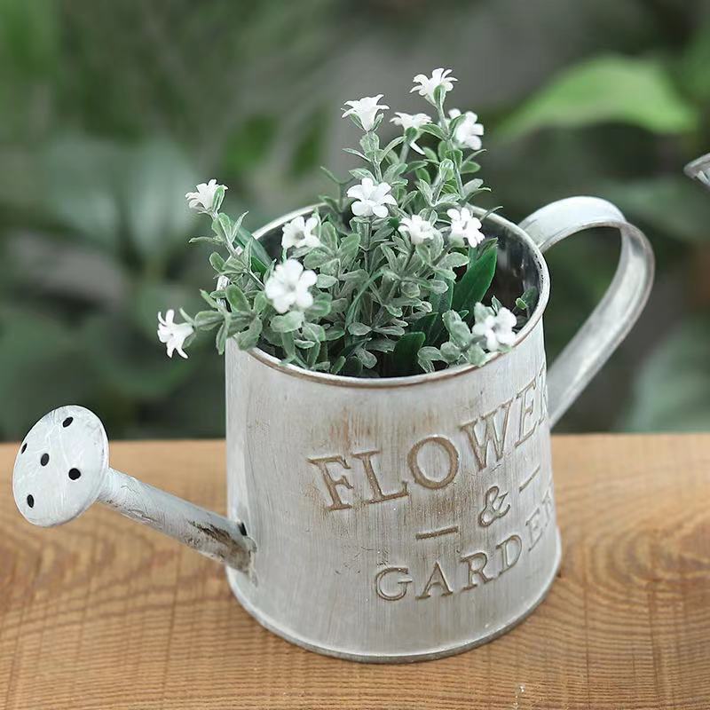 Barrels Garden Decoration Tin  - Pilea Peperomioides recensie en prijs