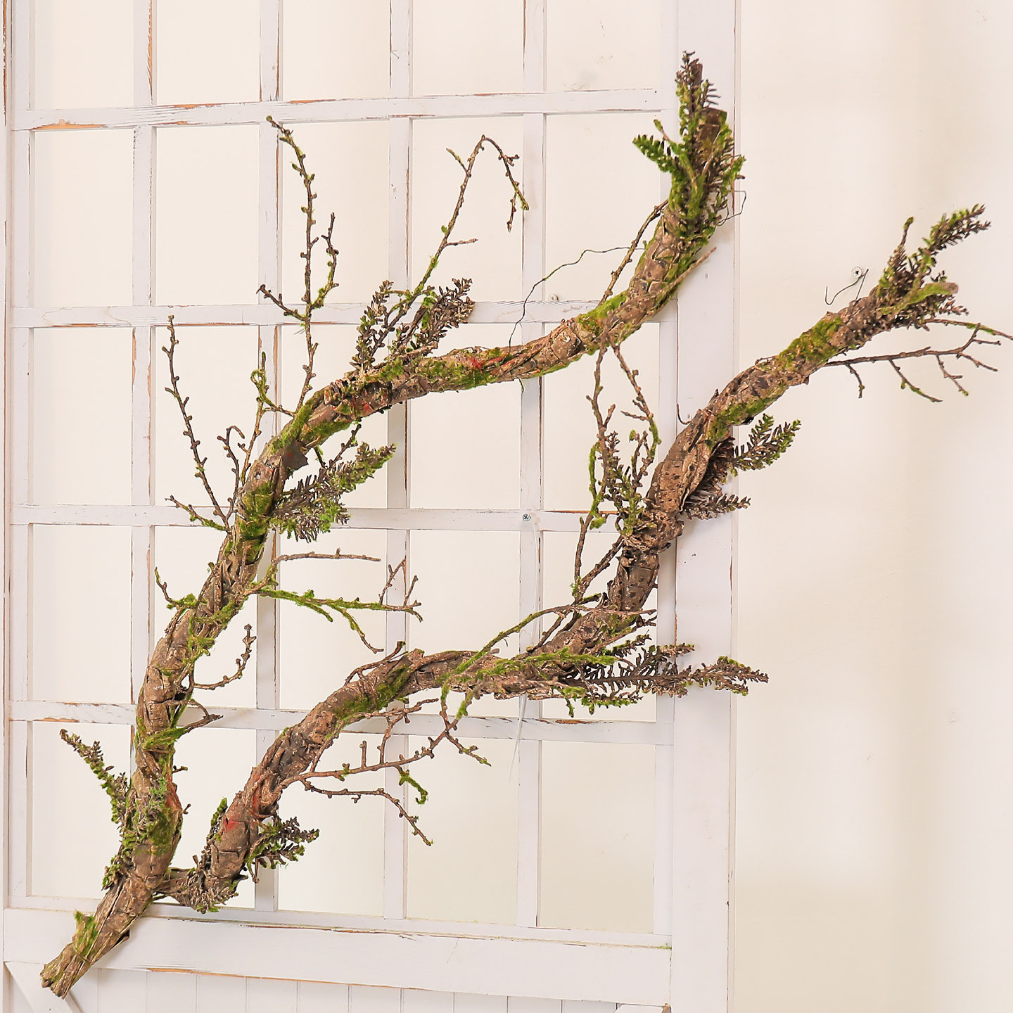 New Withered Vines Artificial  - Pilea Peperomioides recensie en prijs