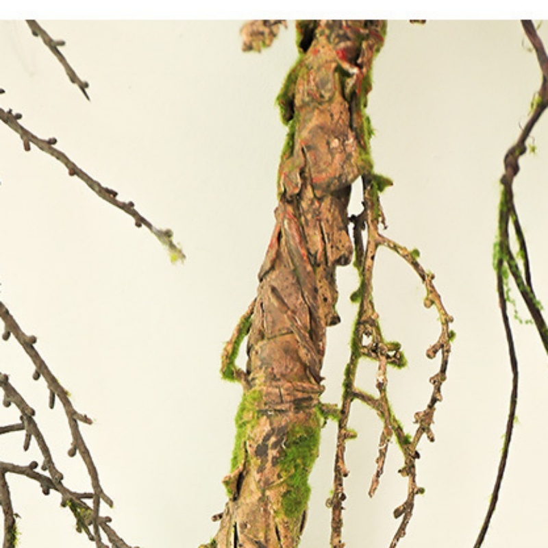 New Withered Vines Artificial  - Pilea Peperomioides recensie en prijs