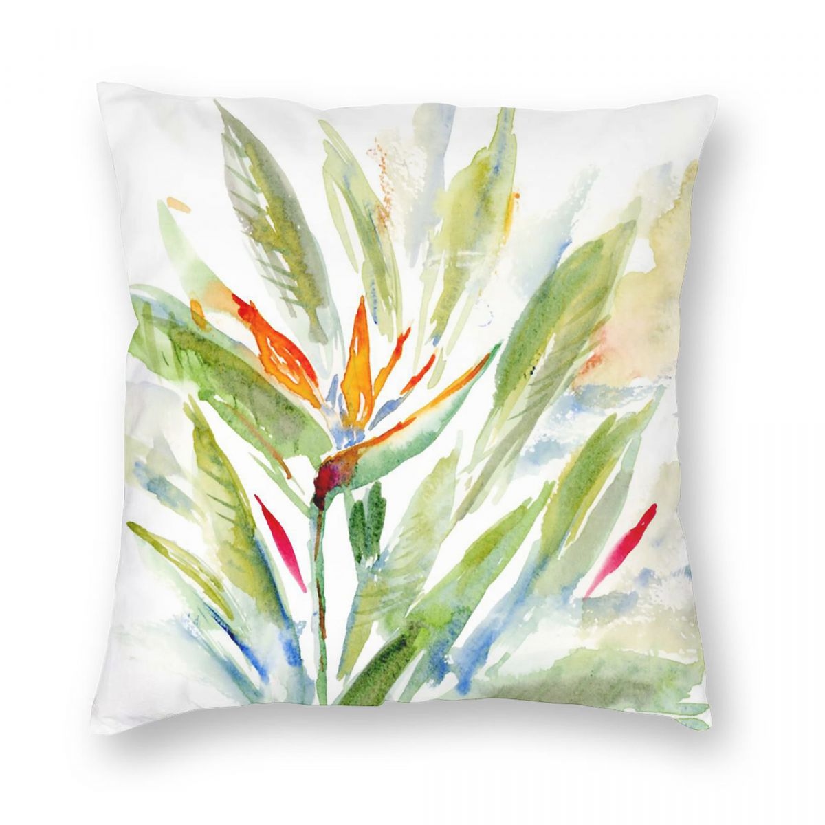 Bird Of Paradise Strelitzia Sq - Bird Paradise Strelitzia recensie en prijs