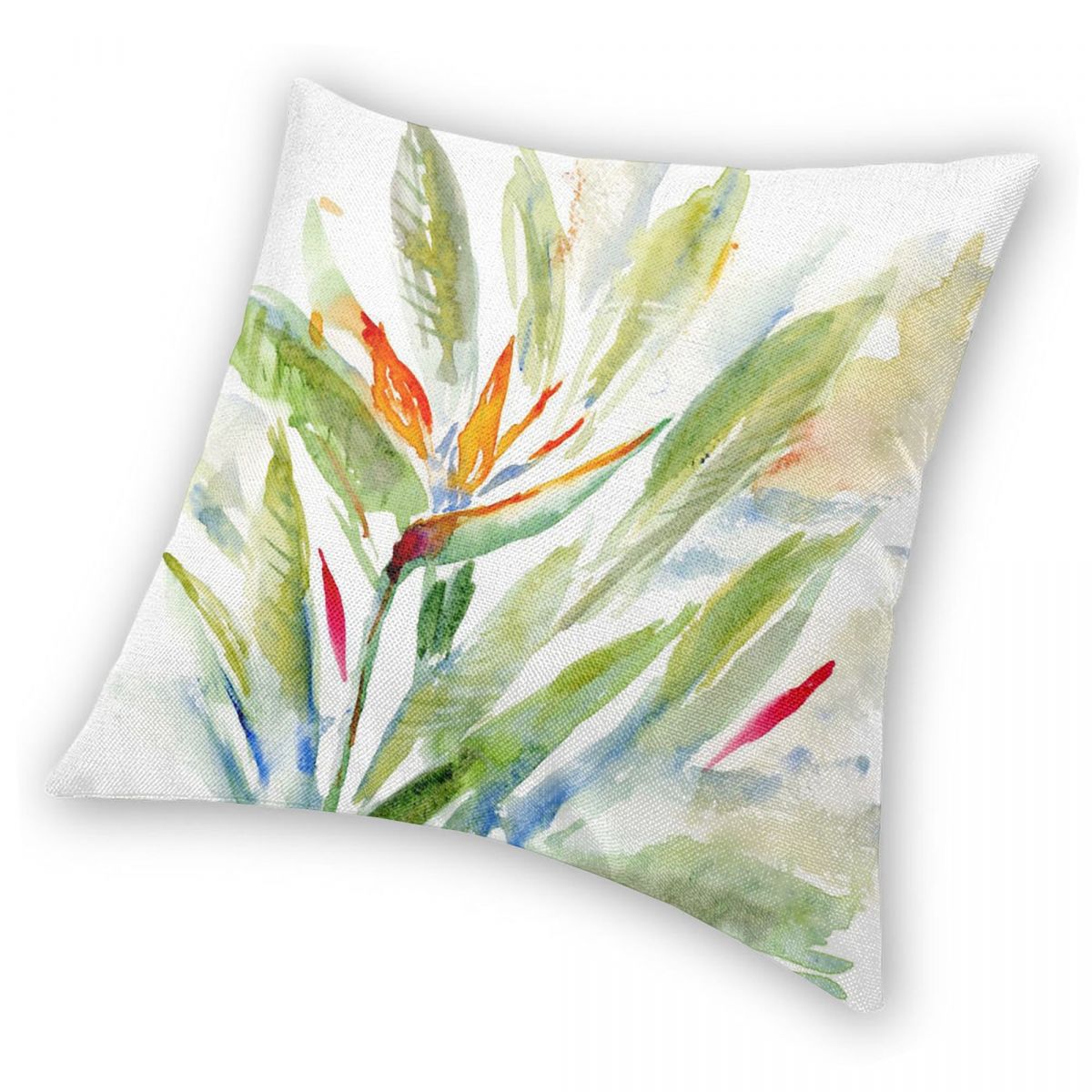 Bird Of Paradise Strelitzia Sq - Bird Paradise Strelitzia recensie en prijs