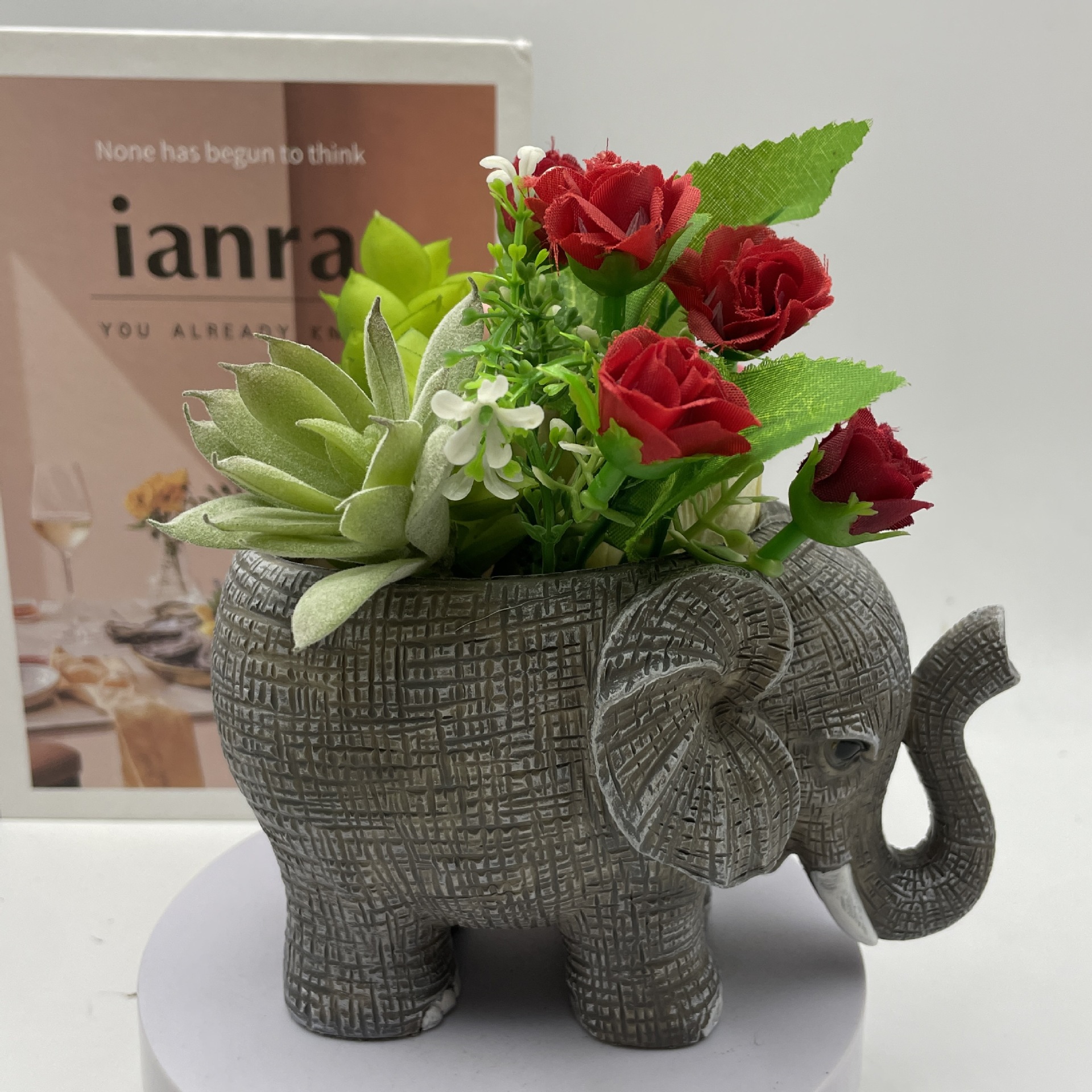 Cute Elephant Resin Succulent  - Echeveria Succulent recensie en prijs