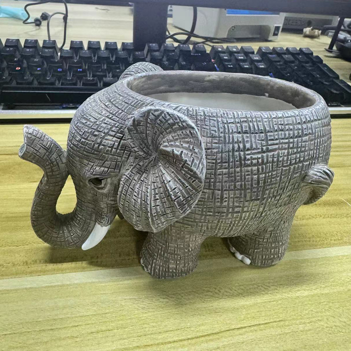 Cute Elephant Resin Succulent  - Echeveria Succulent recensie en prijs