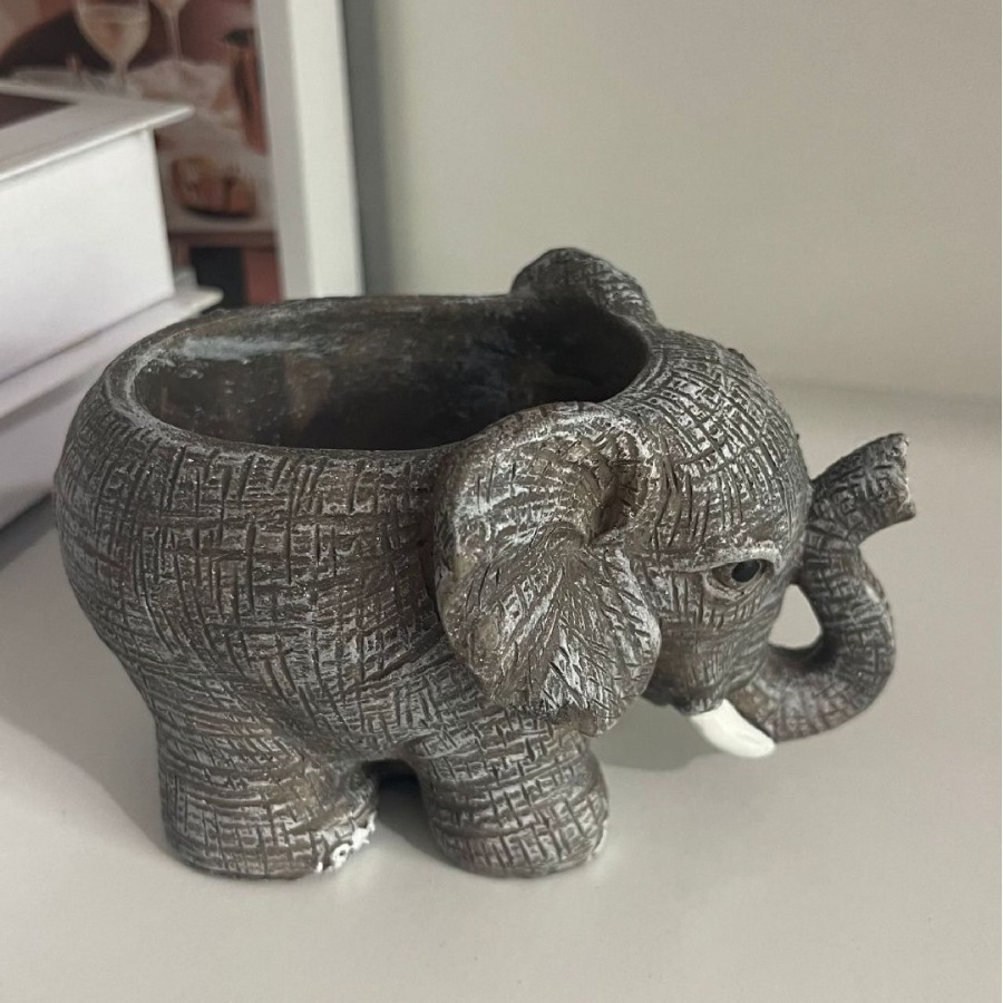 Cute Elephant Resin Succulent  - Echeveria Succulent recensie en prijs