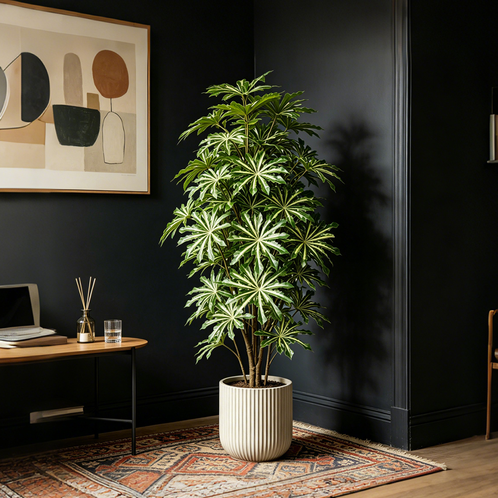 80-96cm Large Artificial Cassa - Ficus Lyrata Tree recensie en prijs