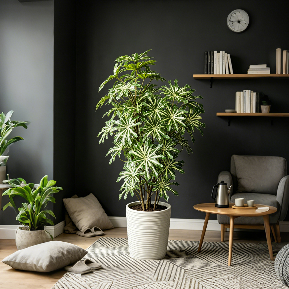 80-96cm Large Artificial Cassa - Ficus Lyrata Tree recensie en prijs