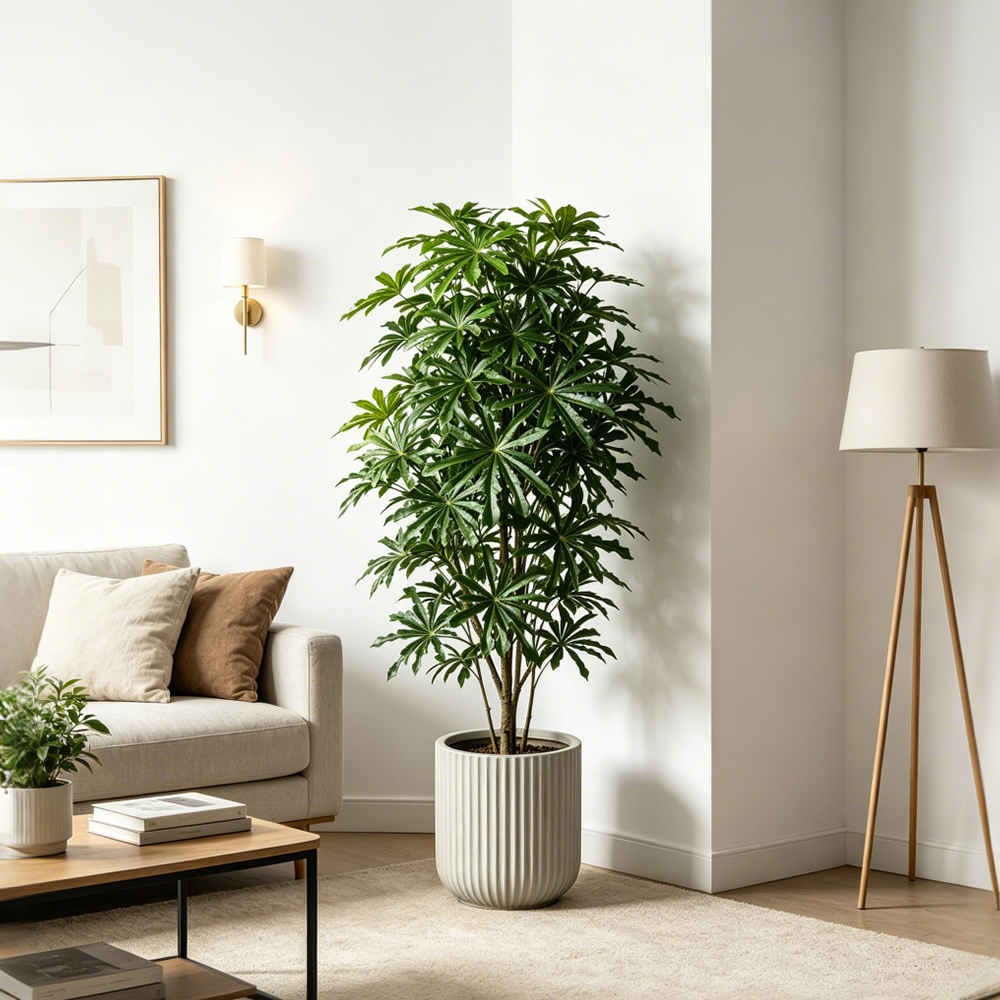 80-96cm Large Artificial Cassa - Ficus Lyrata Tree recensie en prijs