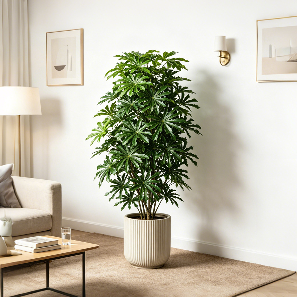 80-96cm Large Artificial Cassa - Ficus Lyrata Tree recensie en prijs