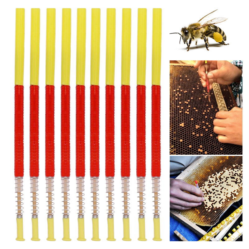 5/10Pcs Beekeeping Grafting To - Begonia Rex recensie en prijs