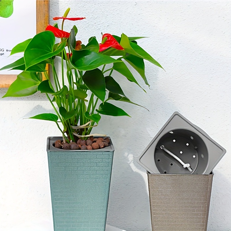 Plastic Brick Pattern Flowerpo - Pilea Peperomioides recensie en prijs