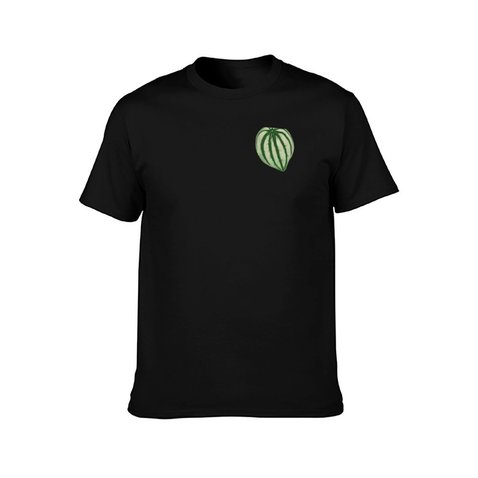 Watermelon Peperomia T-Shirt C - Peperomia Watermelon recensie en prijs