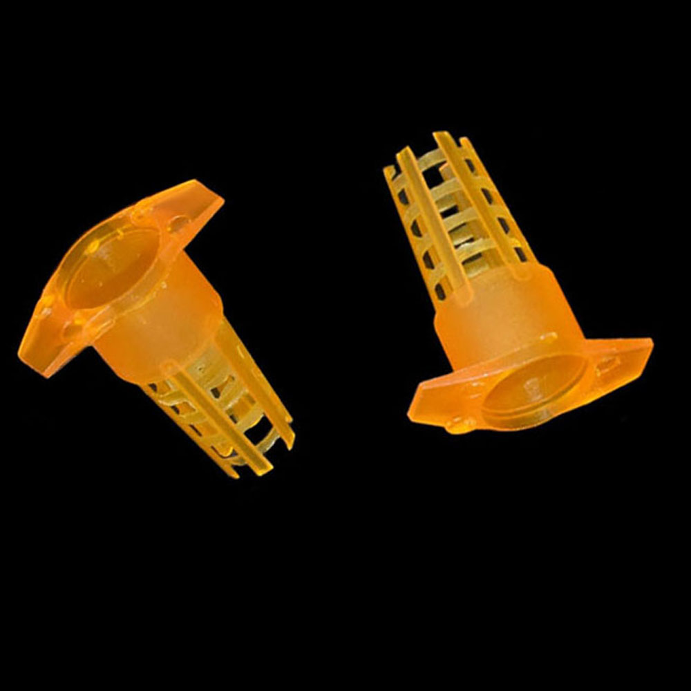20 pcs Plastic Bee Queen Cage  - Begonia Rex recensie en prijs