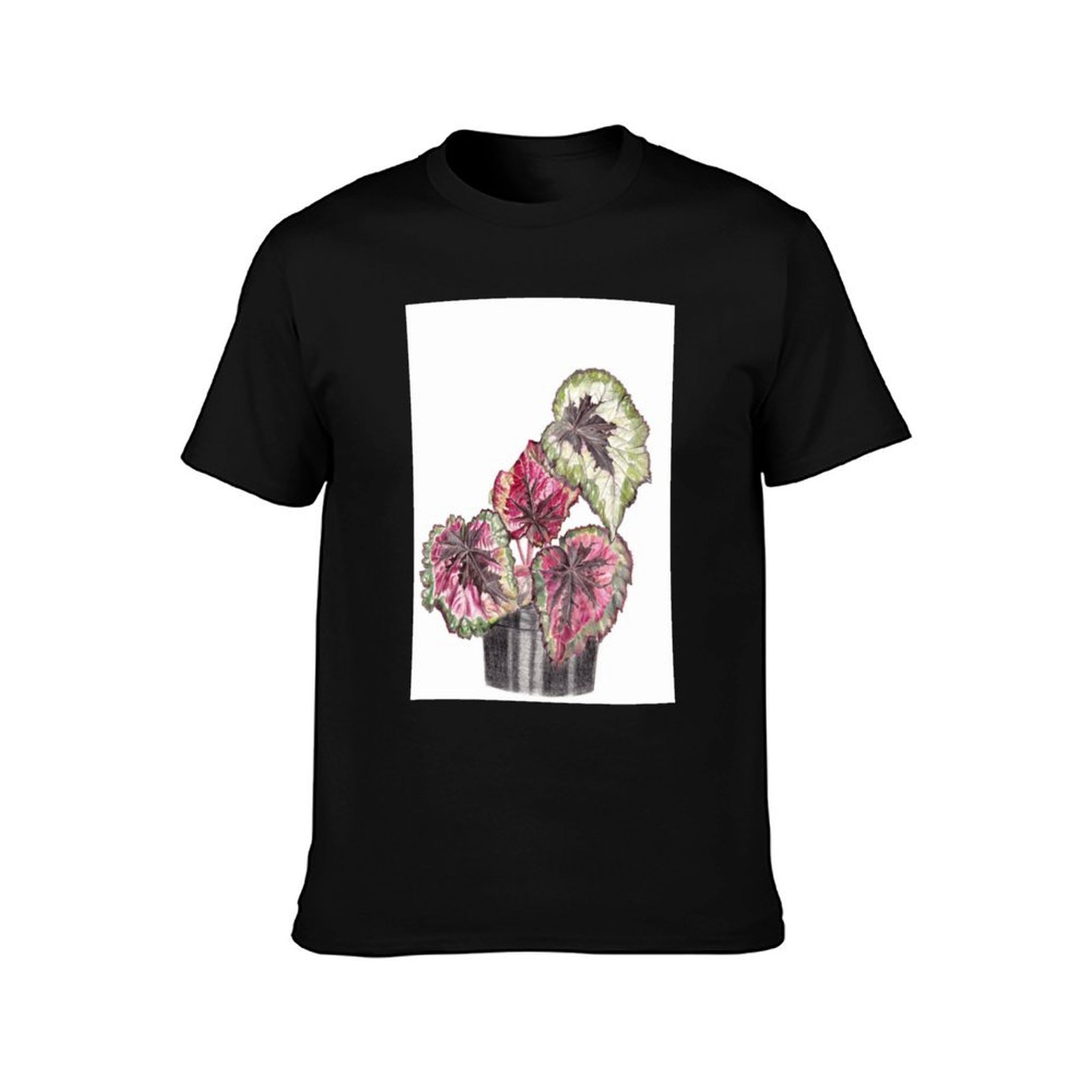 Begonia Rex T-Shirt Simple Gra - Begonia Rex recensie en prijs