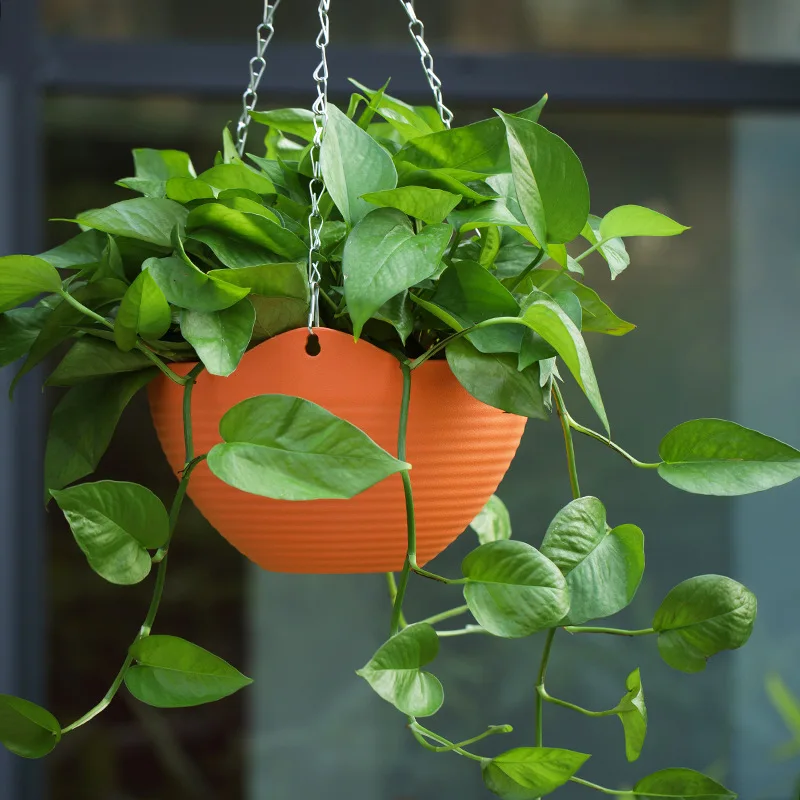 Creative Chinese Ceramic Flowe - Pilea Peperomioides recensie en prijs