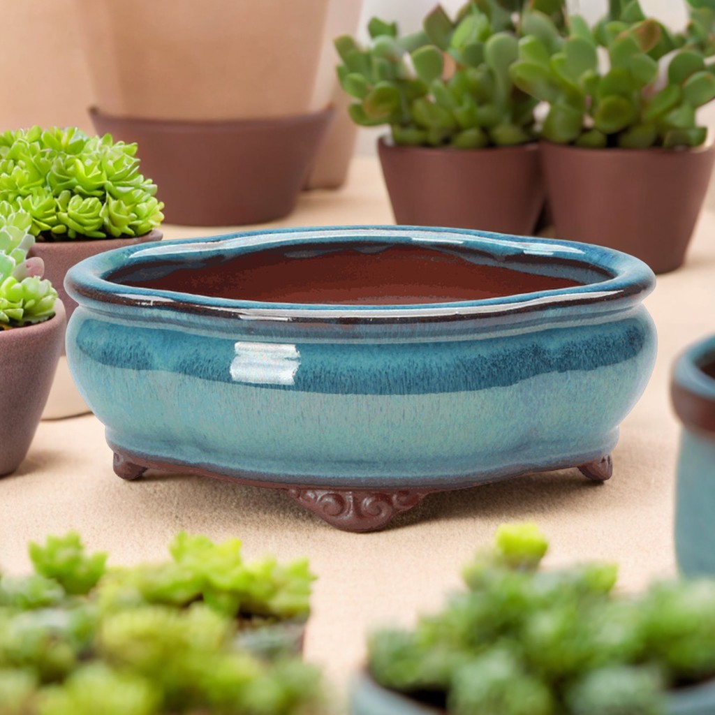 Ceramic Succulent Flower Pot C - Pilea Peperomioides recensie en prijs
